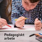 Pedagogiskt arbete, elevbok, 2a uppl